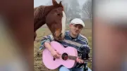 Französischer Sänger verzaubert Tiere mit pinker Gitarre