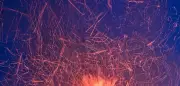 Frühmenschen nutzten Feuer vor über 1,7 Millionen Jahren