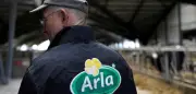 Fusion von Arla und DMK: Europas größte Molkereigenossenschaft entsteht