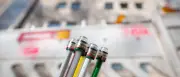 Glasfaser für jeden zweiten Haushalt: Digitalministerium zufrieden mit Ausbau