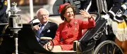Goldhochzeit in Schweden: 50 Jahre Liebe bei Carl XVI. Gustaf und Silvia