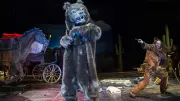 Grizzlybär im Deutschen Theater: Winnetou kehrt zurück