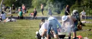 Görlitzer Park: Grillverbot wegen Eichenprozessionsspinner-Raupen