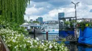Grüner Hauptweg Nr. 1: Wanderung von Treptower Park nach Köpenick