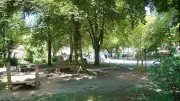 Großaufgebot der Polizei sucht vermissten 6-Jährigen in Tübingen