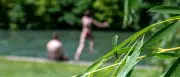 Große Suche im Eisbach: Vermisster war längst zu Hause