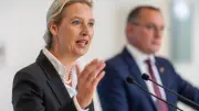 Gutachten: AfD erfüllt Kriterien der Verfassungswidrigkeit