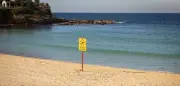 Haiangriff-Opfer in Sydney kurz aus Koma erwacht