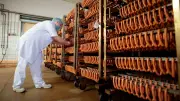 Halberstädter Würstchen: Dritte Insolvenz in drei Jahren