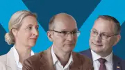 Höcke-Vertrauter Möller will Weidel-Vize werden