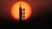 Historische Hitzewelle: 41,5 Grad in Deutschland – Rekorde purzeln in Europa