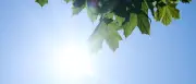 Hitze in Berlin und Brandenburg: Bis zu 34 Grad am Mittwoch