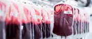 Hitzewelle in Berlin: Blutreserven knapp, Silbernetz warnt Senioren