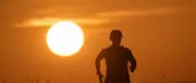 Hitzewelle in Deutschland: 41,7 Grad Rekord und Waldbrandevakuierung