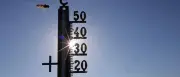 Hitzewelle in Deutschland: Bis zu 39 Grad – Abkühlung erst nächste Woche