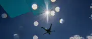 Hitzewelle in Deutschland: Saarland knackt 35-Grad-Marke