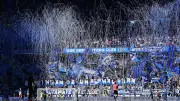 HSV: Kurioser Neuzugang – Das Geheimnis hinter den Mettmöwen