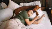 Hund im Bett: Expertin klärt Vor- und Nachteile auf