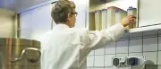 Hygienemängel in Potsdams Restaurants: Linke fordert Konsequenzen