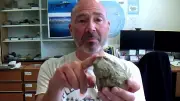 Jahrzehntelang übersehen: Dino-Knochen in Schublade entdeckt