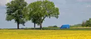 Juni startet in Berlin und Brandenburg mit sommerlichen Temperaturen bis 27 Grad