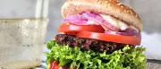 KI designt optimale Burger: Geschmack, Nährstoffe, Nachhaltigkeit