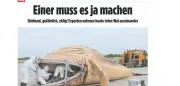 KI-Phantasie: Wie Bild eine Wal-Obduktion erfindet
