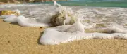 Klimawandel macht Sommerurlaub riskanter: Mücken, Bakterien, Hitze