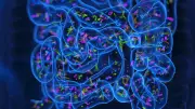 Kohlenhydrate: Mit diesem Trick Kalorien sparen ohne Diät