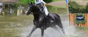 Krajewski vor fünftem DM-Titel im Vielseitigkeitsreiten