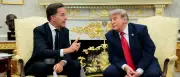 Kritik an Nato-Chef Rutte: Trumps Schmeichler oder Diplomat?