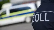 Kuriose Zollfunde: Bärengalle, Schlagringe und ein Walrossstoßzahn