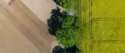 Landpartie Brandenburg: 135 Betriebe öffnen ihre Tore für Besucher