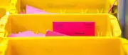 Landratswahl in Ostprignitz-Ruppin: AfD bei Briefwählern abgeschlagen