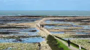 Île de Ré: Feinschmeckerparadies vor Frankreichs Küste