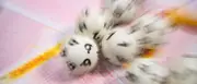 Lotto-Jackpot bleibt bei 50 Millionen Euro – nächster Jackpot steigt