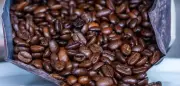 Markenkaffee wird günstiger: Supermärkte senken Preise unter zehn Euro