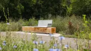 Mauerweg-Sanierung: Neues Teilstück in Lichterfelde eröffnet