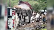 Millionen Bienen entkommen nach Lkw-Unfall auf Highway in Texas