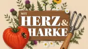 „Mit Herz und Harke“: Mattias Nemeth wird neuer Podcast-Gastgeber