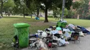Monbijoupark in Berlin-Mitte: Anwohnerin klagt über Vermüllung und Rattenplage