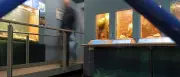Museumstag in Potsdam: Vier Museen am Freitag kostenlos besuchen