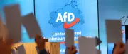 Mutmaßlicher Angriff auf AfD-Abgeordneten Meister in Rostock