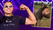 Netflix-Star Chase DeMoor demütigt Fame Fighter mit Esel-Foto