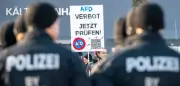 Neues Gutachten belebt Debatte über mögliches AfD-Verbotsverfahren