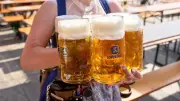 Oktoberfest 2026: Bierpreis steigt auf bis zu 15,90 Euro pro Maß