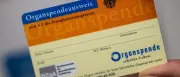 Organspende trotz Wunsch: Ärzte müssen oft ablehnen