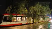 Orkanartige Gewitter in NRW: Baum begräbt Straßenbahn in Duisburg