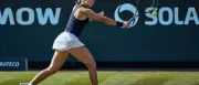 Osaka gibt auf: Muchova gewinnt Tennis-Turnier in Bad Homburg