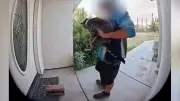 Paketbote entführt Katze Junie in Kalifornien – Videoüberwachung zeigt Tat